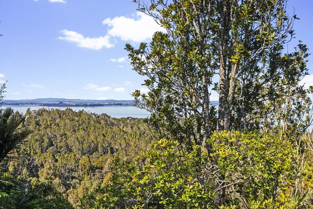 620 South Titirangi Road, Titirangi, Auckland - Carousel 2