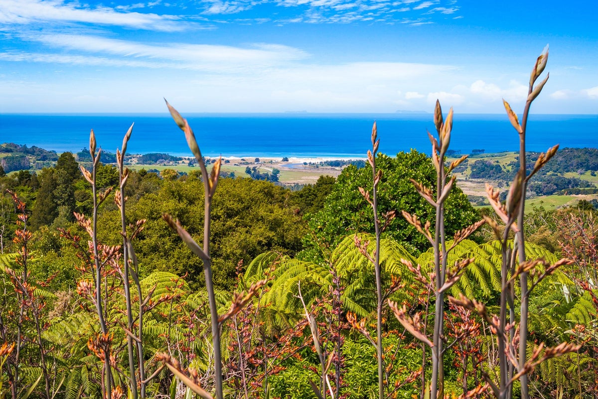 1612H Pakiri Road, Tomarata, Wellsford - Carousel 33