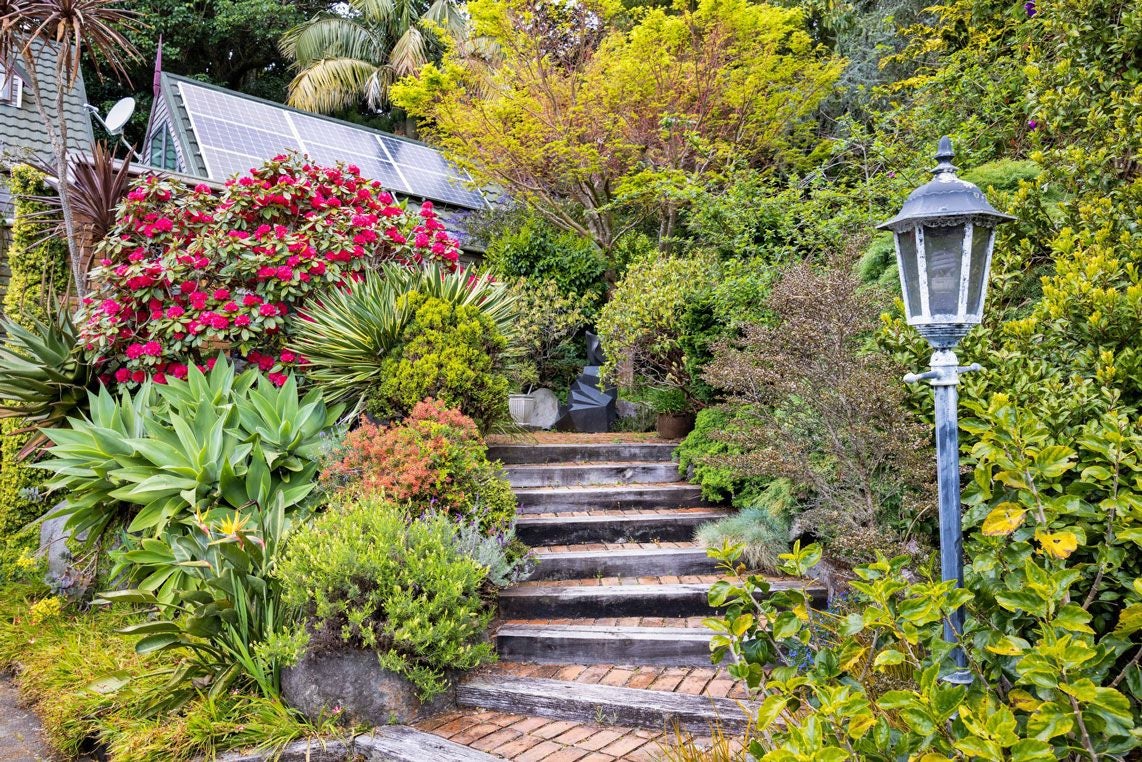 29A Frank Wilson Terrace, Welbourn, New Plymouth - Carousel 20