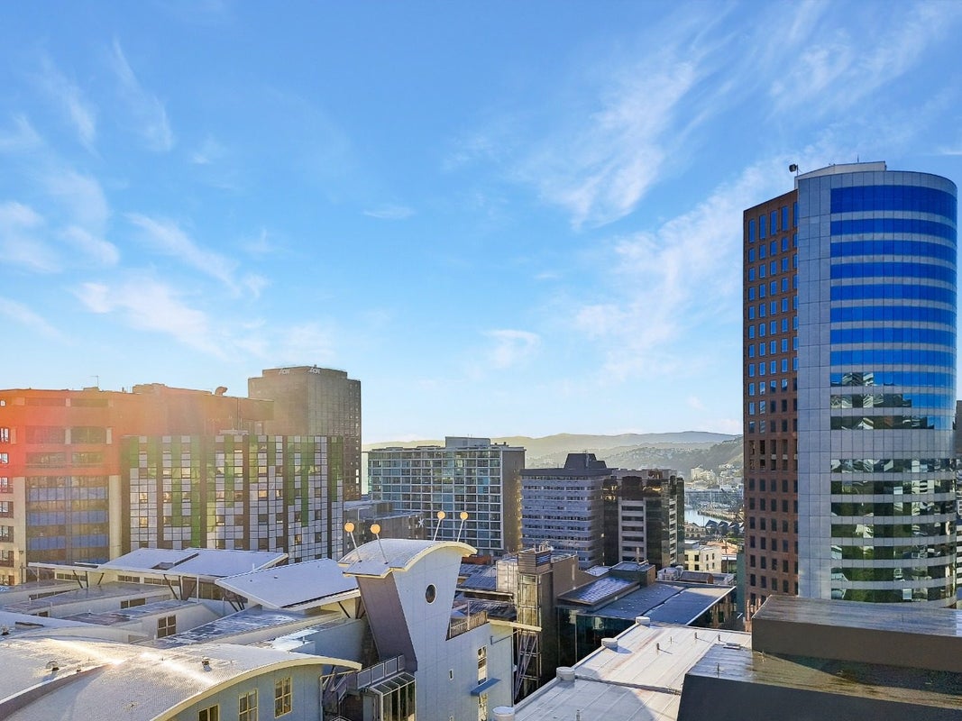 248/217 The Terrace, Wellington Central, Wellington - Carousel 9