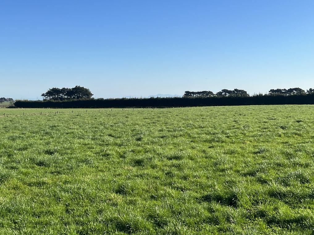 80 Dowling Road, LONGBUSH, INVERCARGILL - Carousel 1
