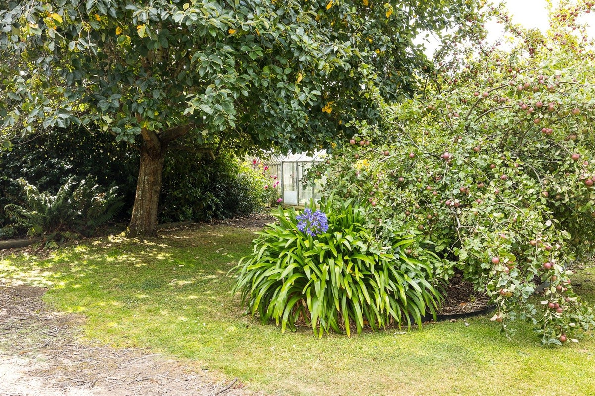 9A North Foreland Street, Waihola, Milton - Carousel 31