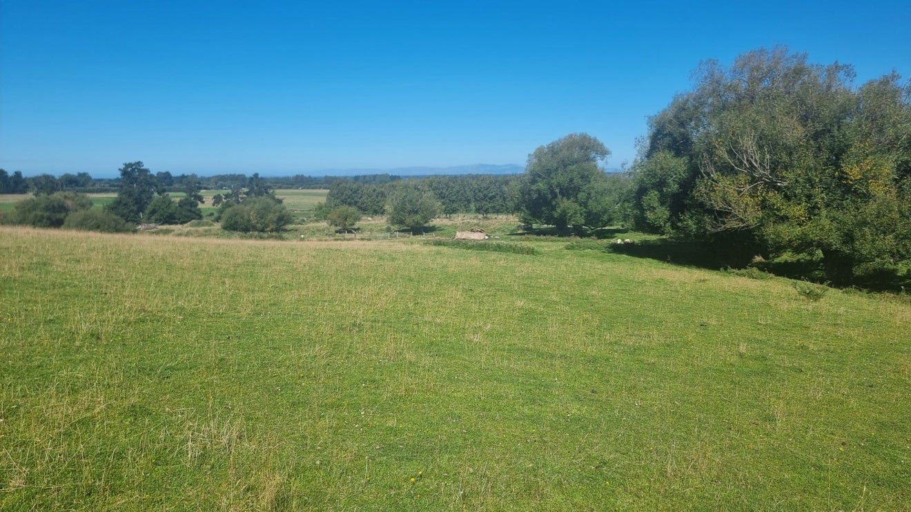 89 Campions Road, Cust, Rangiora - Carousel 42