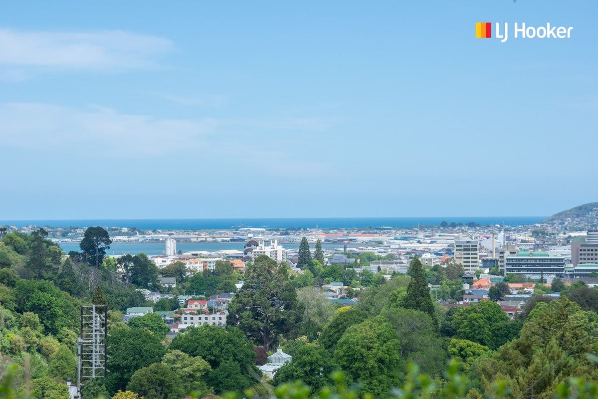 92 Buccleugh Street, North East Valley, Dunedin - Carousel 20