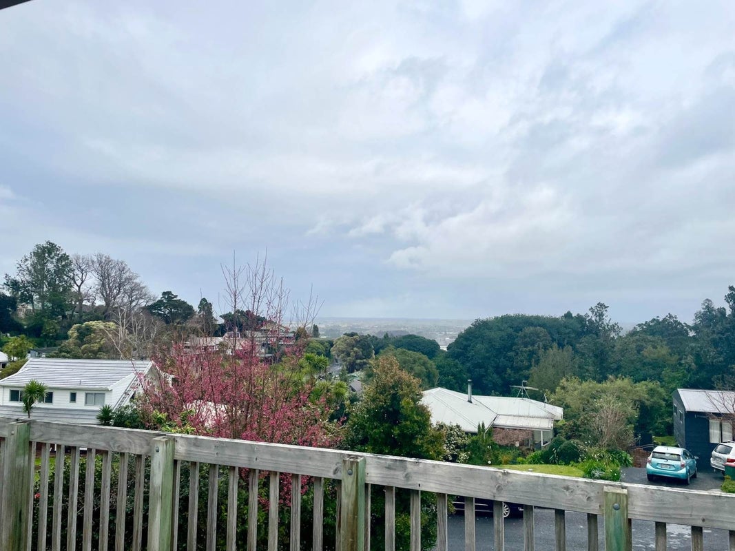 3 Margan Place, Red Hill, Papakura - Carousel 11
