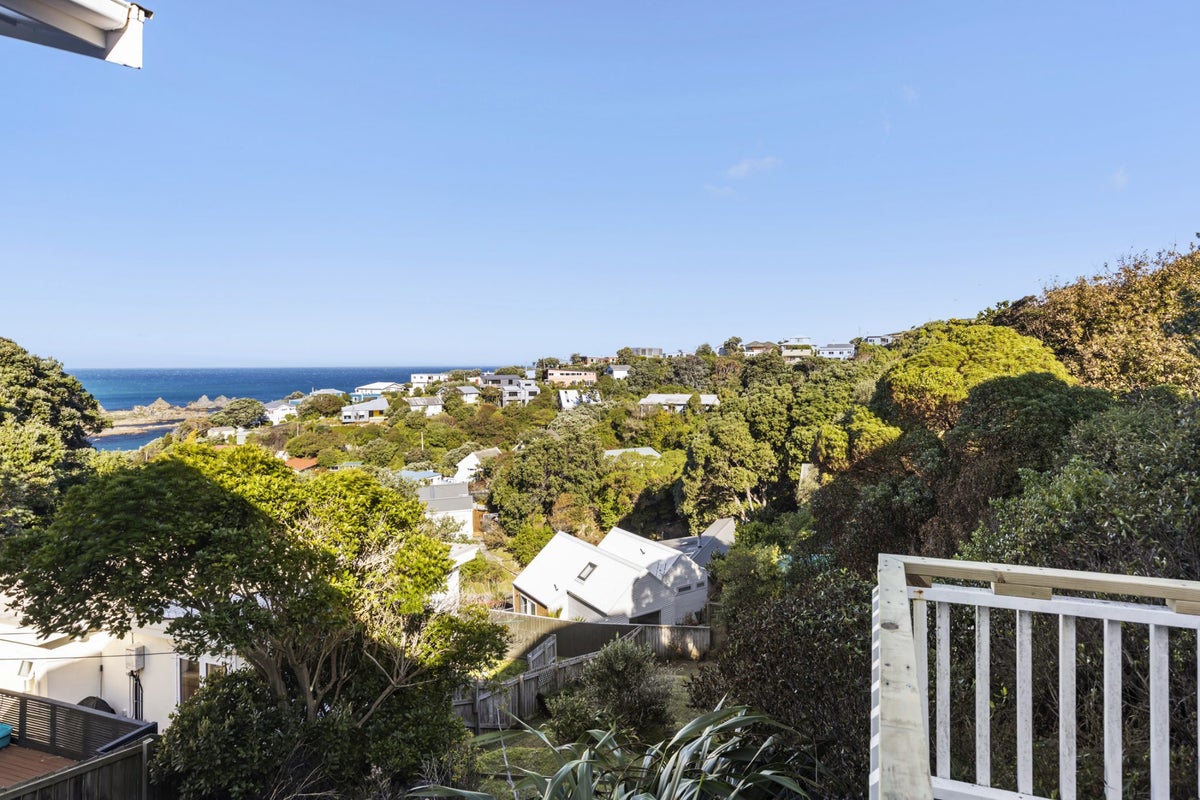 15 Oku Street, Island Bay, Wellington - Carousel 2