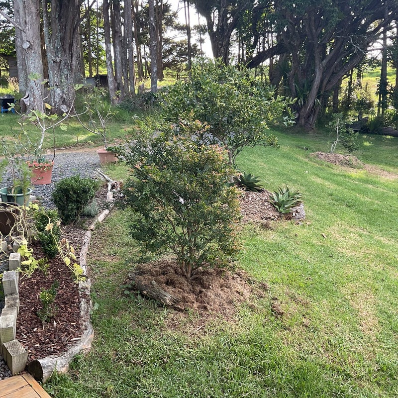 374 Mahurangi West Road, Mahurangi West, Warkworth - Carousel 21