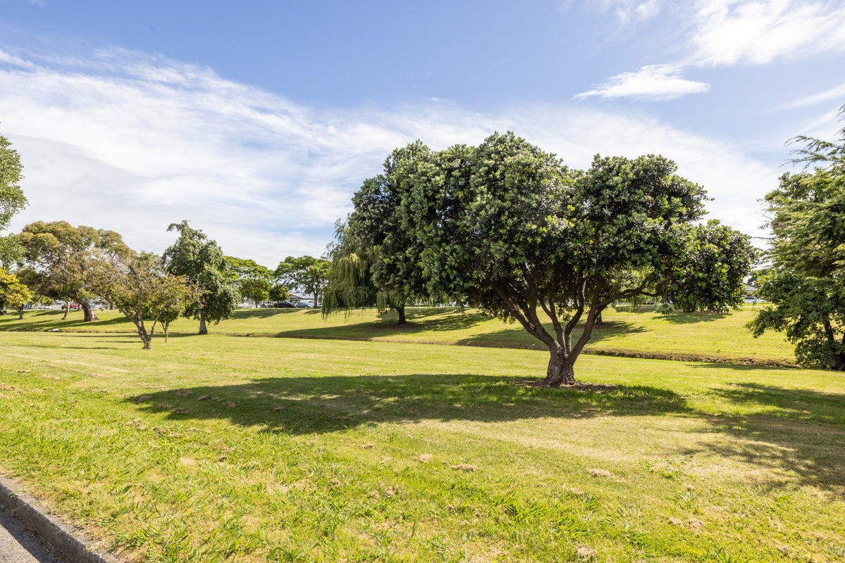 2/83 Douglas McLean Avenue, Marewa, Napier - Carousel 18