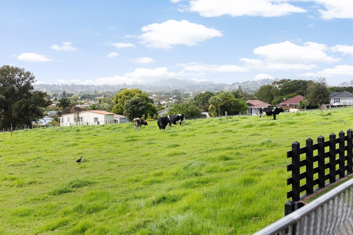 60A Mount Albert Road, Mount Albert, Auckland - Carousel 2