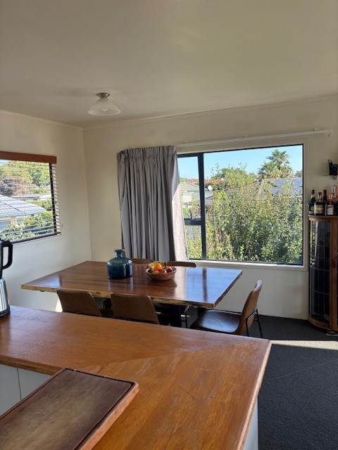 3 Elsie Drive, Waiuku, Waiuku - Carousel 10