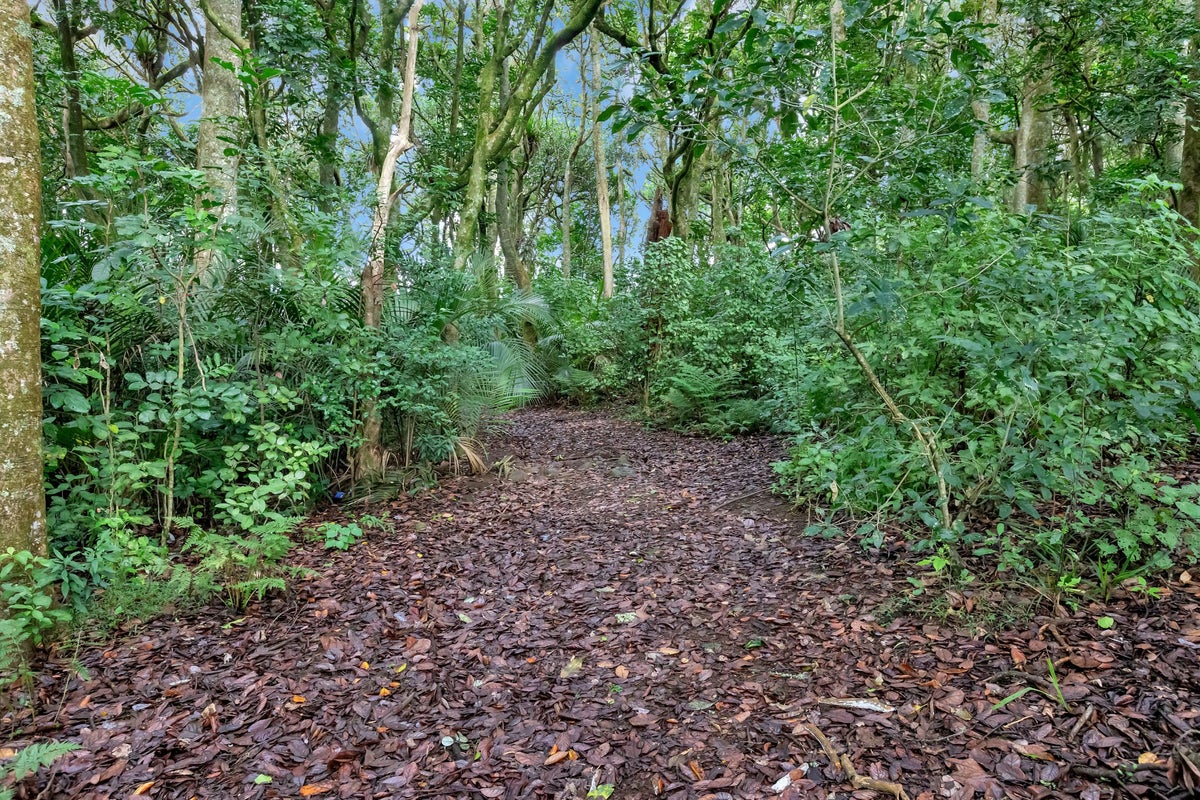 78 Kowhai Drive, Te Kouma, Coromandel - Carousel 50