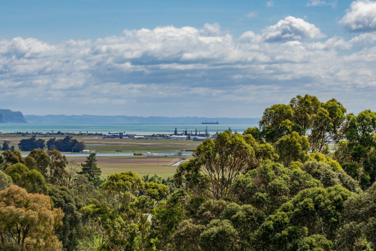 164 Puketitiri Road, Poraiti, Napier - Carousel 2