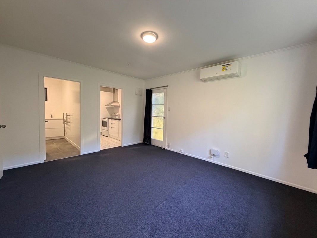 6 Balfour Street, Mornington, Wellington - Carousel 1