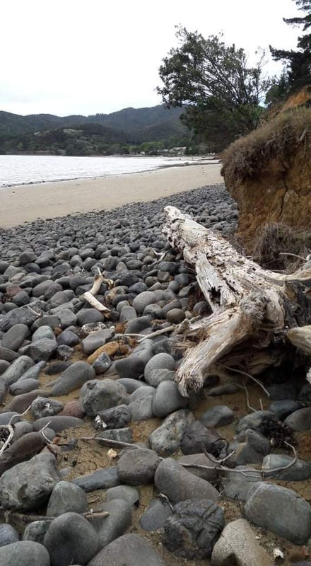 2 Whitecaps Place, Hihi, Mangonui - Carousel 19