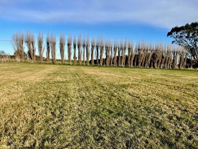 358 Lorne Dacre Road, Roslyn Bush, Invercargill - Carousel 1