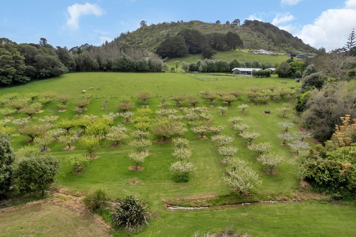 159 Tangihua Road, Whangarei - Carousel 45
