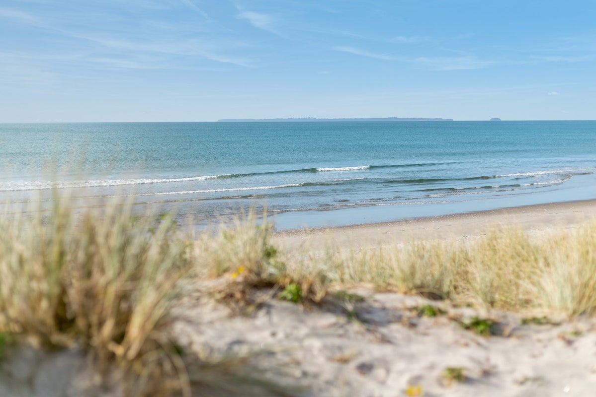 99 Longview Drive, Papamoa Beach, Papamoa - Carousel 25