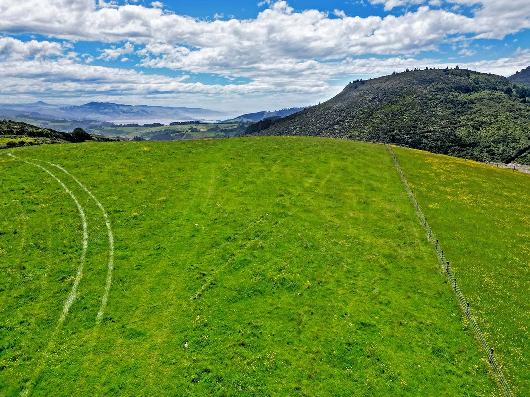 304B Pigeon Flat Road, Mount Cargill, Waitati - Carousel 2