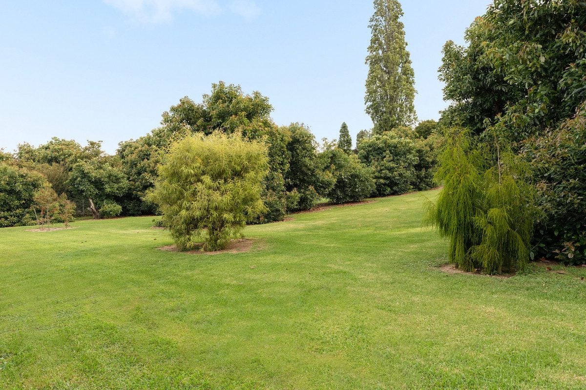 19 Oliver Road, Minden, Tauranga - Carousel 2