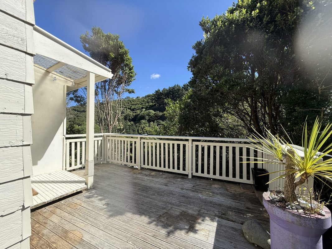 367 Ohiro Road, Brooklyn, Wellington - Carousel 12