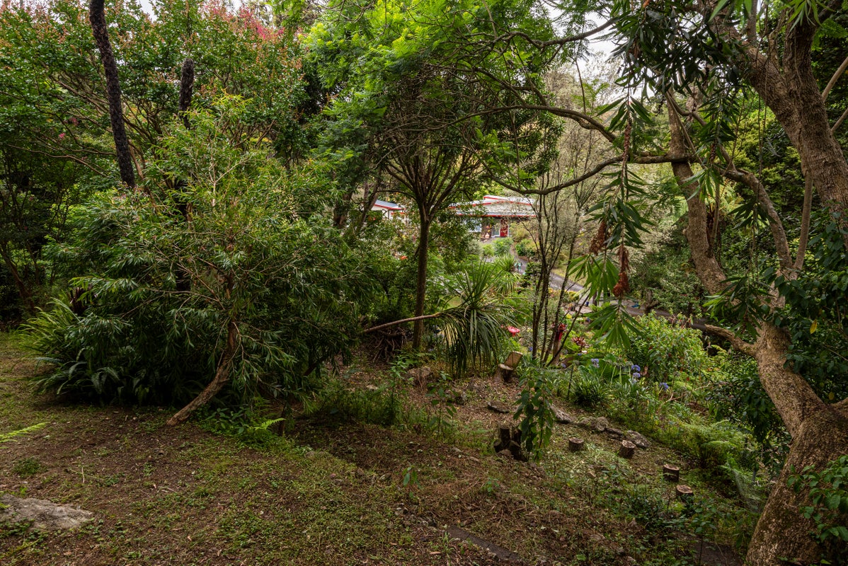 42 Bedlington Street, Whau Valley, Whangarei - Carousel 24