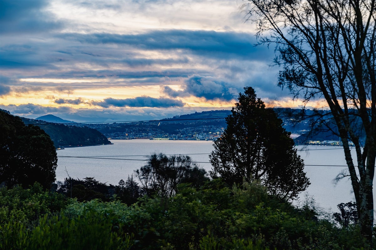 21 Jane Street, Macandrew Bay, Dunedin - Carousel 35