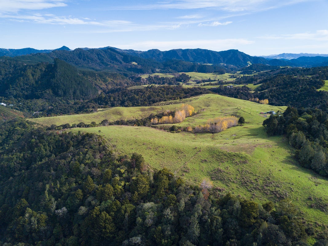 0 State Highway 10, Kaeo - Carousel 2