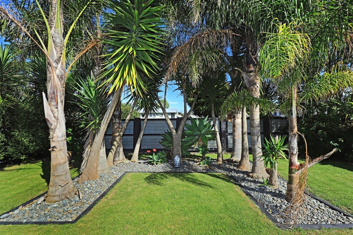 61 Seddon Crescent, Marewa, Napier - Carousel 16