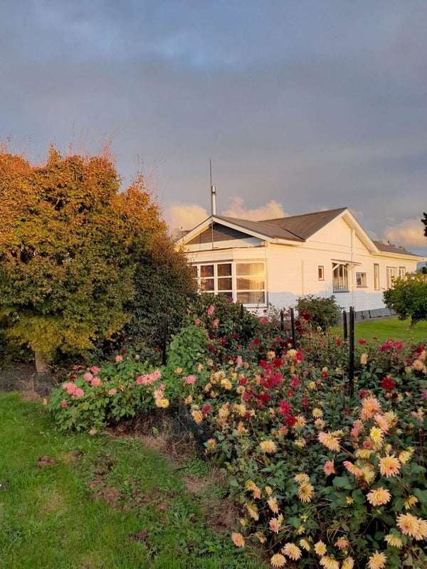 1067 Taniwha Road, Waerenga - Carousel 2