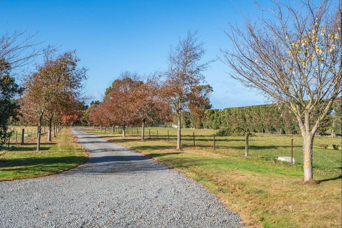 186P Terrace Road, Leithfield, Amberley - Carousel 2
