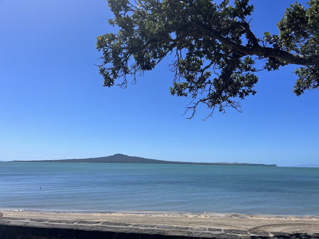 219B Tamaki Drive, Kohimarama, Auckland - Carousel 1