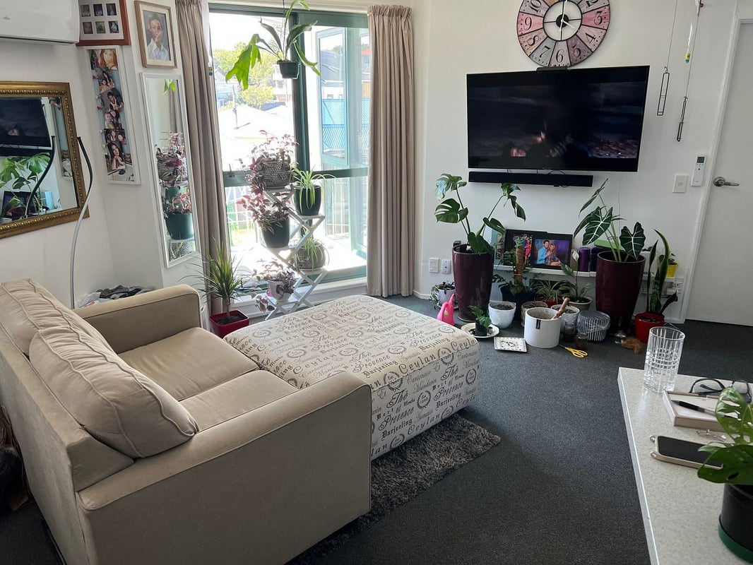 B18/13 Palm Grove, Berhampore, Wellington - Carousel 2