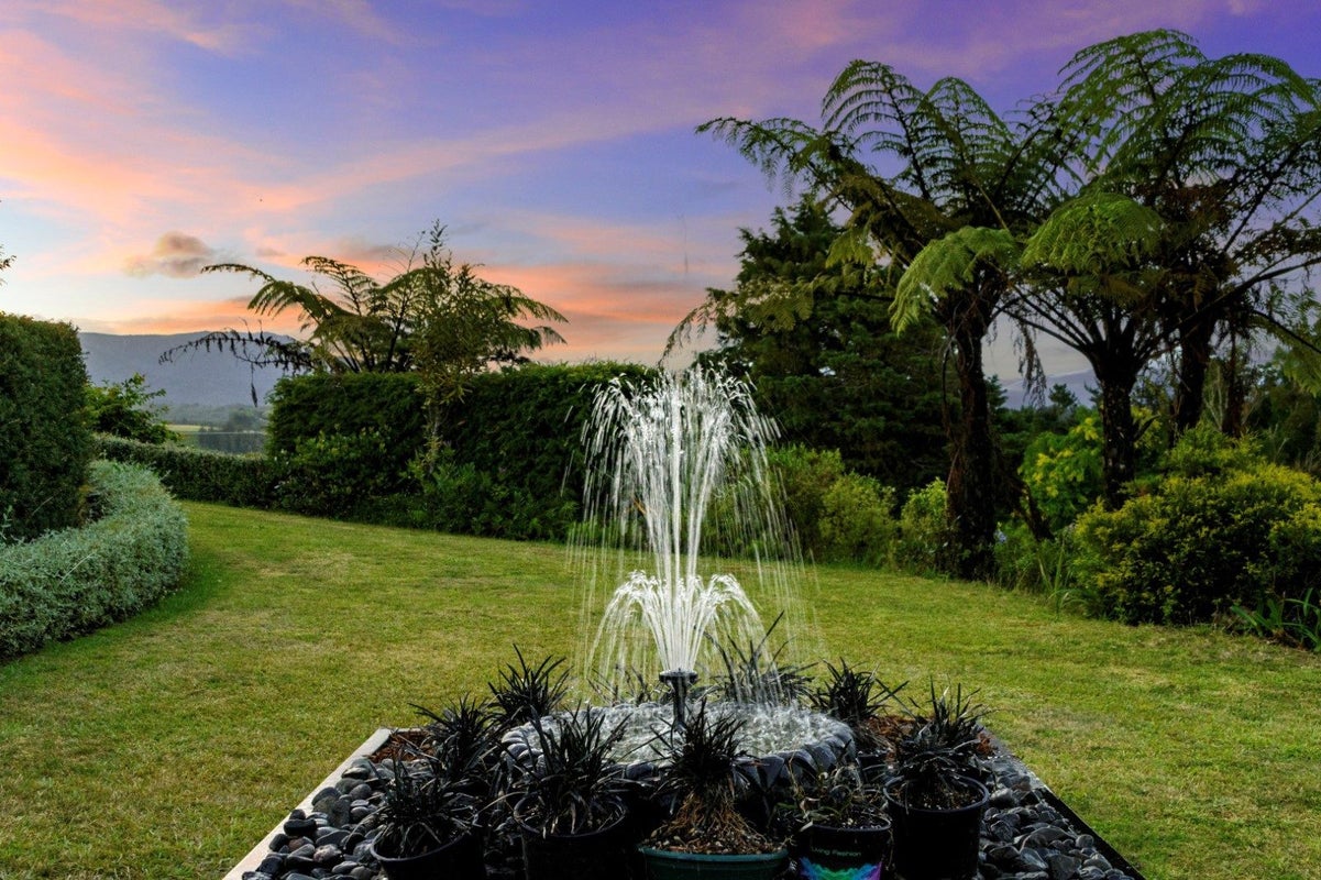 439 Wainui South Road, Whakamarama, Whakamarama - Carousel 2