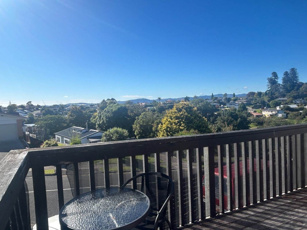 111 Ridge Street, Otumoetai, Tauranga - Carousel 14