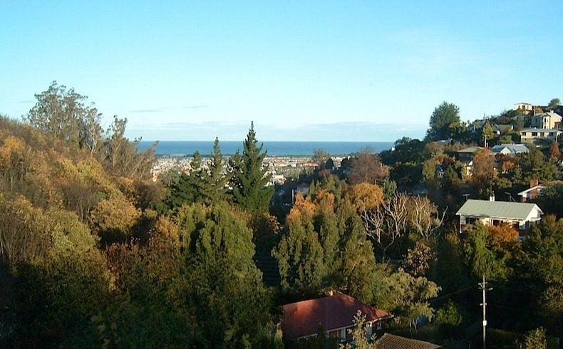 33 Dalry Street, Mornington, Dunedin - Carousel 8