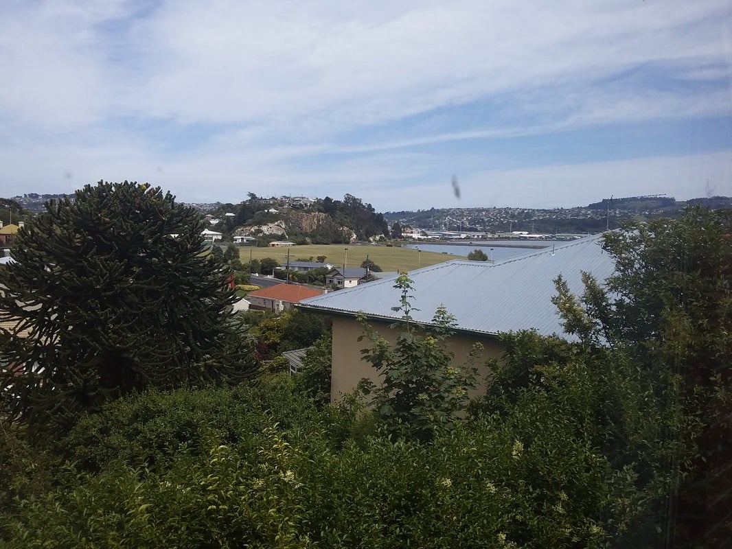 17 Sunbury Street, Andersons Bay, Dunedin - Carousel 1