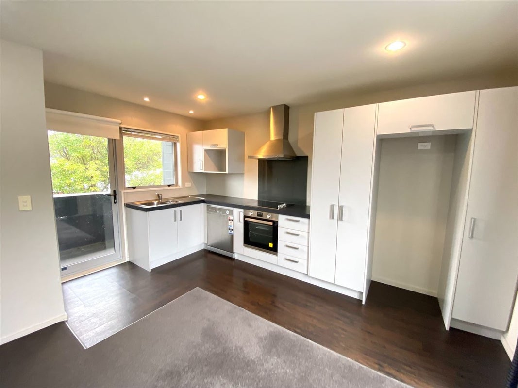 524E TUAM STREET, Phillipstown, Christchurch - Carousel 2