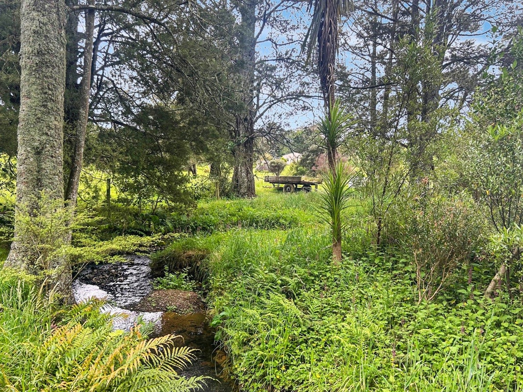 150 Dimmock Road, Waitakaruru, Ngatea - Carousel 1