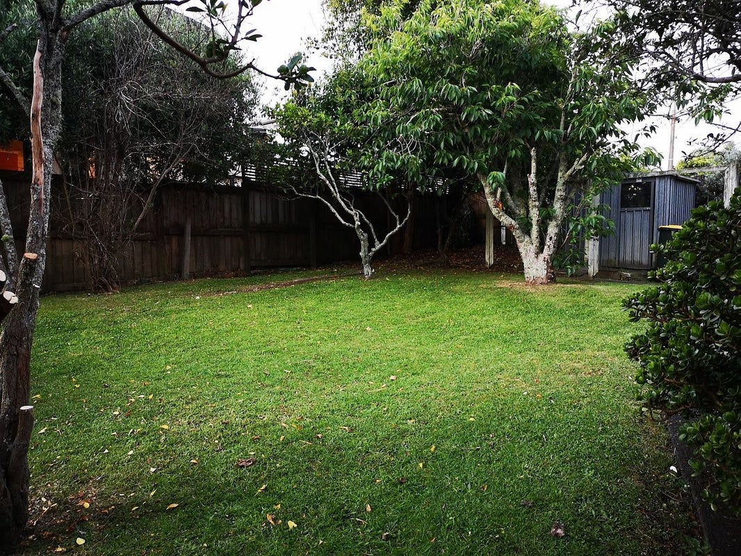 54A Francis Street, Hauraki, Auckland - Carousel 16