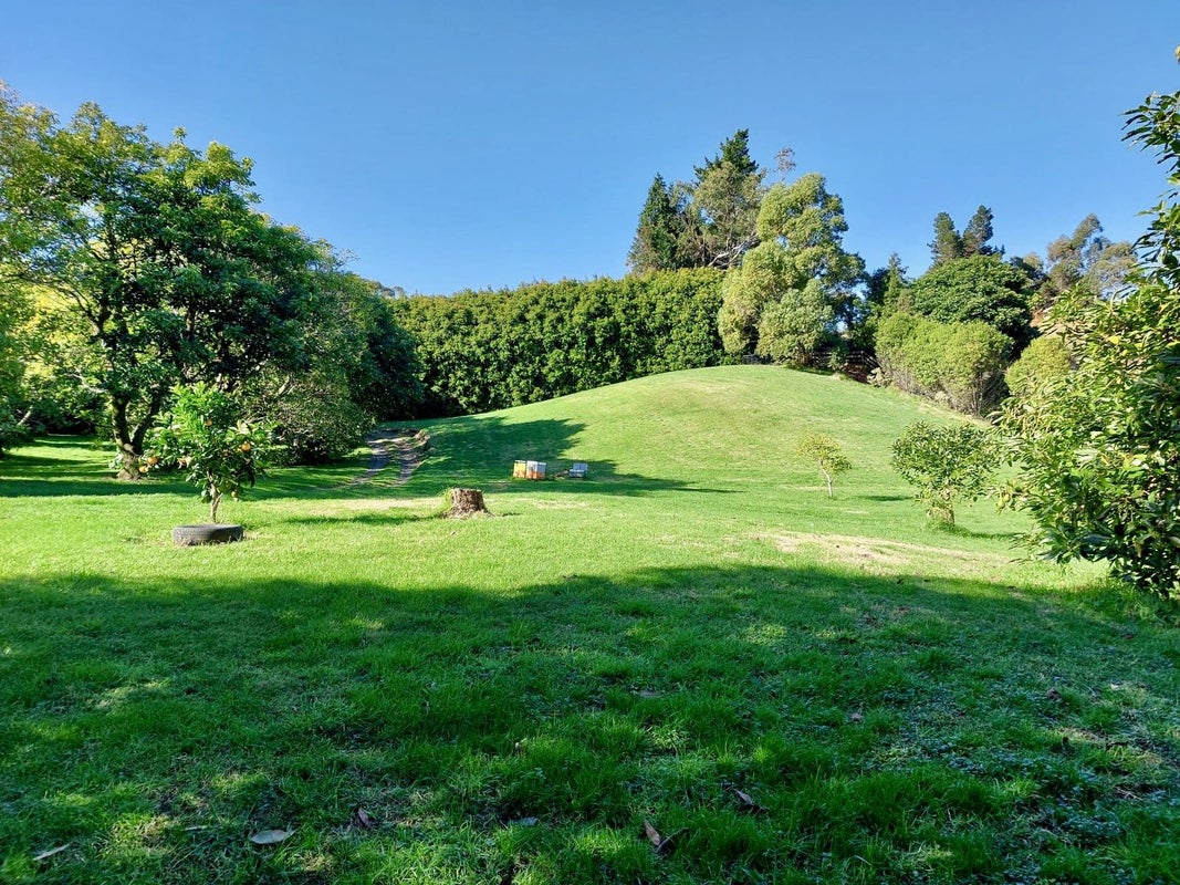 496 Waitao Road, Waitao, Tauranga - Carousel 50