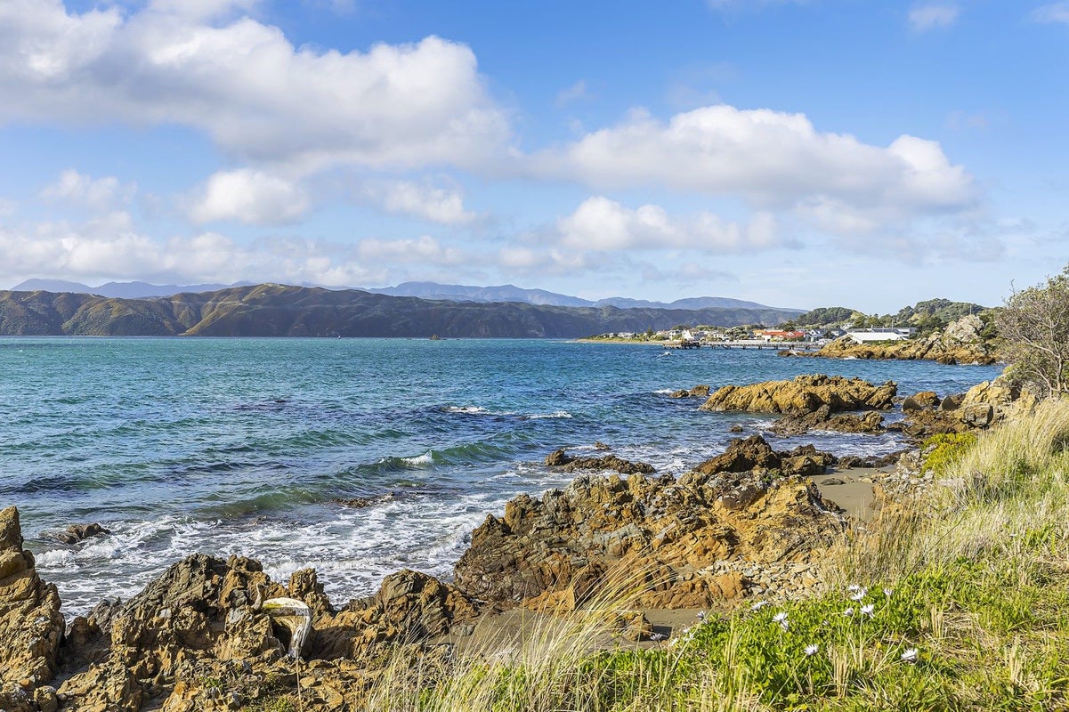 147 Marine Parade, Seatoun, Wellington - Carousel 2
