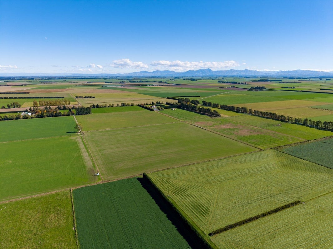 0 Tinwald Westerfield Mayfield Road, Ashburton - Carousel 2