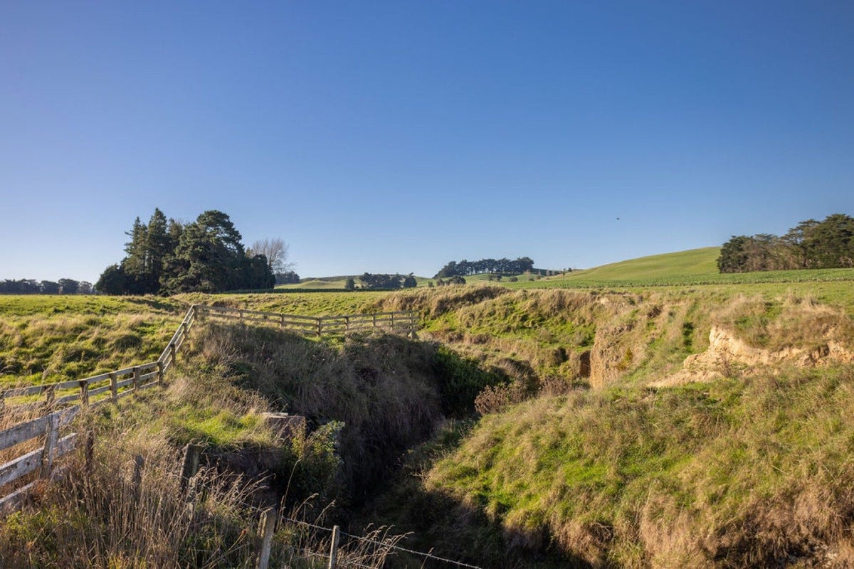 0 Matamau Ormondville Rd, Matamau, Dannevirke - Carousel 6