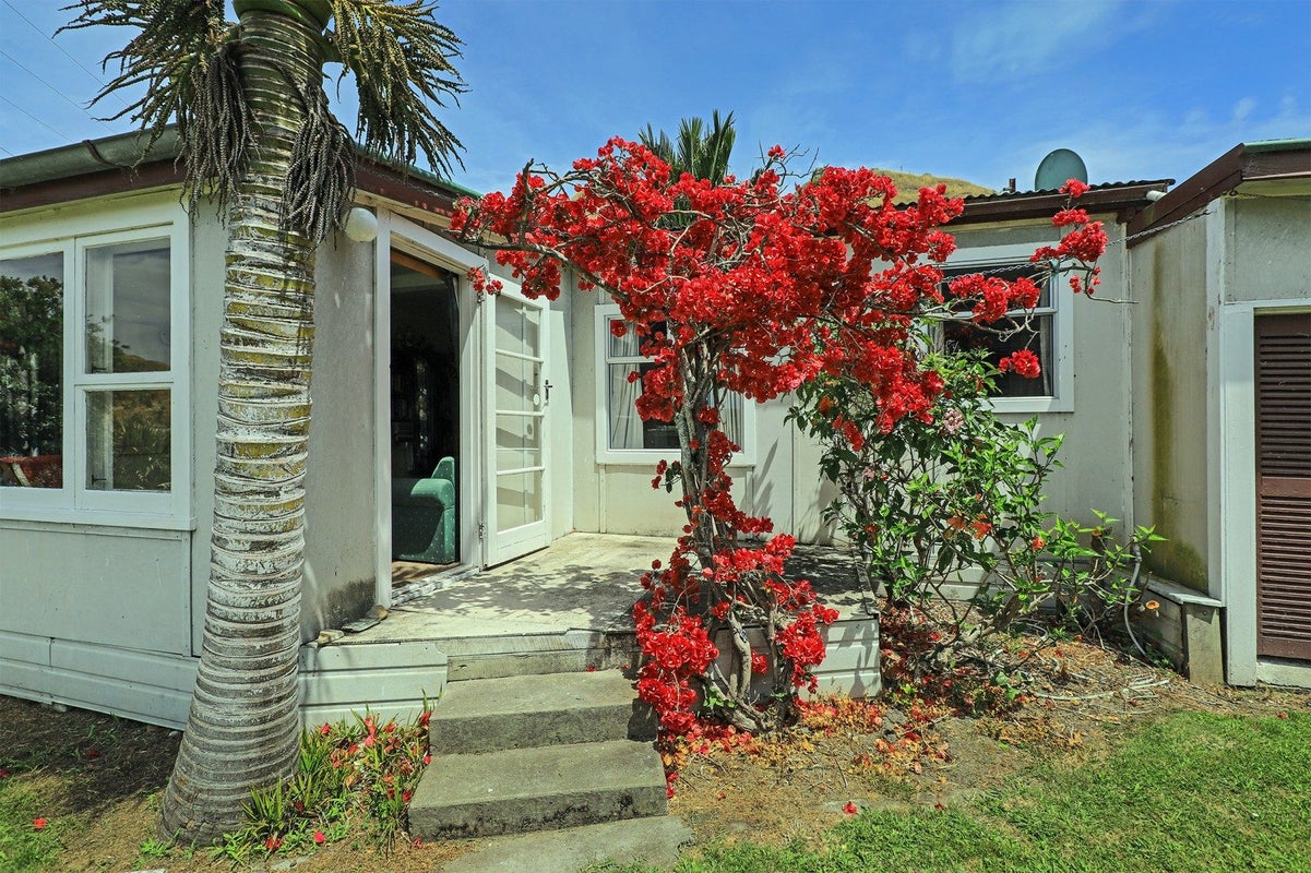 1209 Kairakau Road, Kairakau, Elsthorpe - Carousel 20