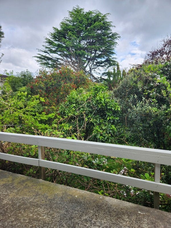 3/88 Banks Road, Mount Wellington, Auckland - Carousel 13