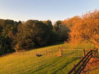 0 Logan Road, Paeroa, Paeroa - Carousel 2