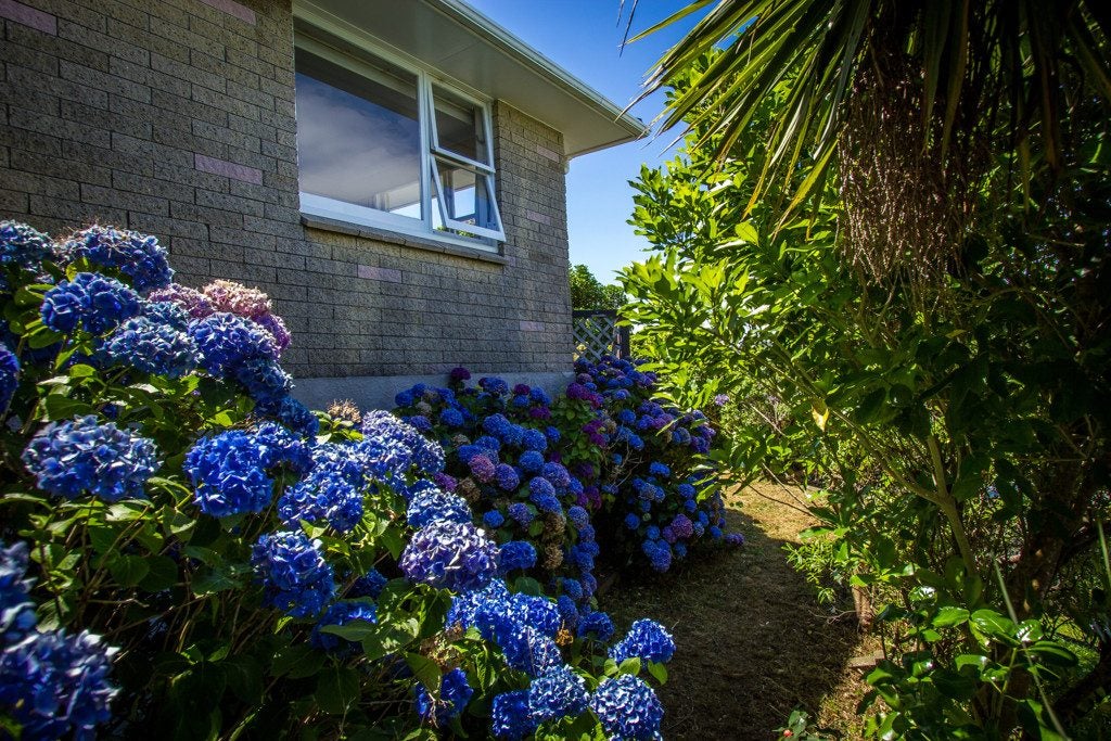 31A Mandalay Terrace, Khandallah, Wellington - Carousel 20