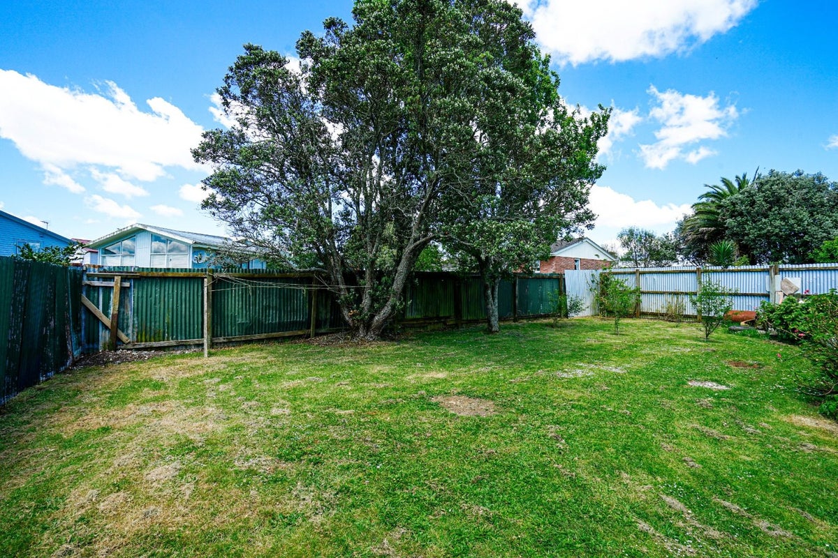 13 Birdwood Road, Pukekohe, Pukekohe - Carousel 19