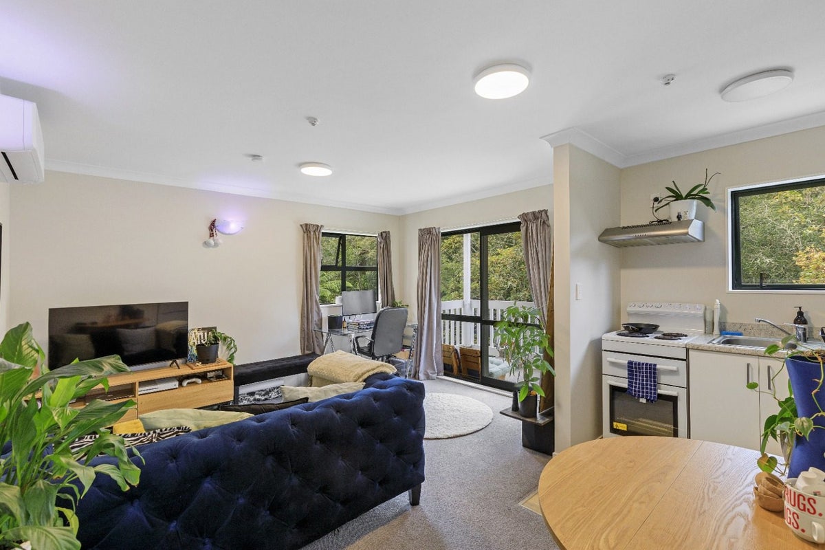 24 Devon St, Aro Valley, Wellington - Carousel 1