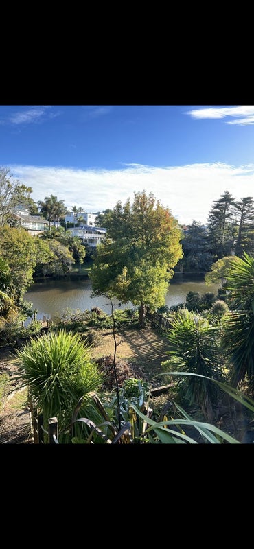 10 MacPherson Street, Meadowbank, Auckland - Carousel 10